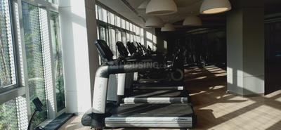 Balcony Image of 3050 Sq.ft 4 BHK Apartment / Flat for sale in Bombay Island City Center, Wadala Mumbai for Rs. 152500000