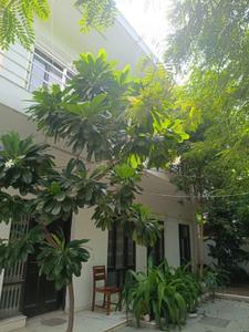 Image of 3000 Sq.ft 3 BHK Builder Floor for rent in Sector 40, Noida for Rs. 98000