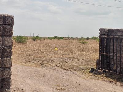 Image of 1125 Sq.ft Residential Plot / Land for sale in Dholera, Ahmedabad for Rs. 1600000