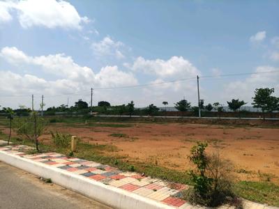 Residential Plot