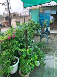 Image of 720 Sq.ft 2 BHK Builder Floor for sale in Tagore Garden Extension, New Delhi for Rs. 7000000