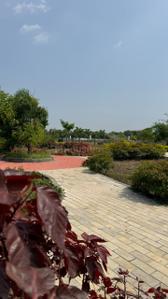 Image of 1326 Sq.ft Residential Plot / Land for sale in Ganeshapuram, Coimbatore for Rs. 1992978