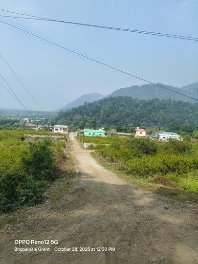 Kalimati Bhupalpani Main Image 1