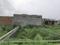 Chhapraula Main Image 1