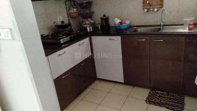 Kitchen Image of 2350 Sq.ft 3 BHK Apartment / Flat for rent in Stellar Jeevan, Noida Extension Greater Noida for Rs. 23000