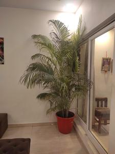 Hall Image of 1080 Sq.ft 4 BHK Independent House for sale in Khyora Kanpur for Rs. 18000000