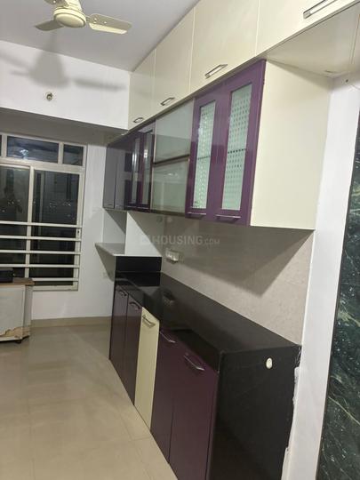 Karia Konark Orchid Main Image 1