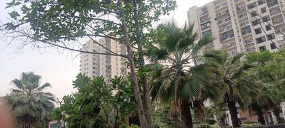 Image of 1010 Sq.ft 2 BHK Apartment / Flat for sale in Skytech Matrott, Sector 76, Noida for Rs. 11000000