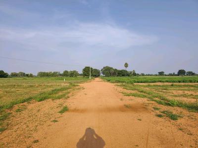 Image of 201 Sq.ft Residential Plot / Land for sale in Alair, Yadadri Bhuvanagiri for Rs. 1800012