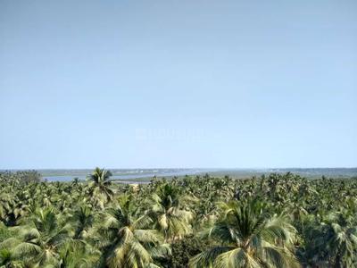 Image of 550 Sq.ft 1 BHK Apartment / Flat for sale in Satpati, Mumbai for Rs. 2310000