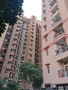 Building Image of 1000 Sq.ft 2 BHK Apartment / Flat for rent in Amrapali Princely Estate, Sector 76 Noida for Rs. 36000