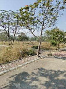 Image of 1000 Sq.ft Residential Plot / Land for sale in Betma, Indore for Rs. 1325000