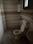 Residential welfare association Bathroom 1
