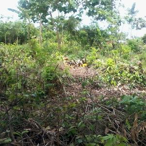 Image of 3500 Sq.ft Residential Plot / Land for sale in Vaishali, Ghaziabad for Rs. 72500000
