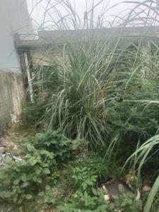 Image of 162 Sq.ft Residential Plot / Land for sale in Sector 22B, Greater Noida for Rs. 32500000