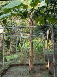 Balcony Image of 4000 Sq.ft 3 BHK Independent House for sale in Chaul Raigad for Rs. 55000000