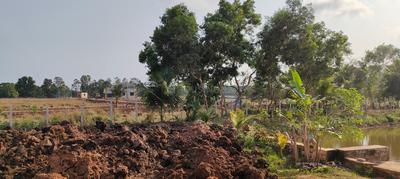 Image of 1000 Sq.ft Residential Plot / Land for sale in Atharanala, Puri for Rs. 900000