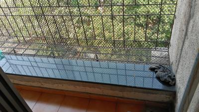 Balcony Image of 850 Sq.ft 2 BHK Apartment / Flat for sale in Kalwa Thane for Rs. 11000000