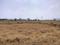Knowledge Park 2 Plot View 2