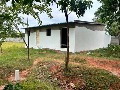 SAI CHANDANAVANAM Plot View 1