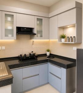 Kitchen Image of 1285 Sq.ft 3 BHK Apartment / Flat for sale in Tata Eureka Park Phase 1, Sector 150 Noida for Rs. 14800000