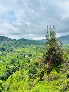 Image of 720 Sq.ft Residential Plot / Land for sale in Mukteshwar, Nainital for Rs. 7250000