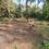 Manora Raia South Goa Main Image 1