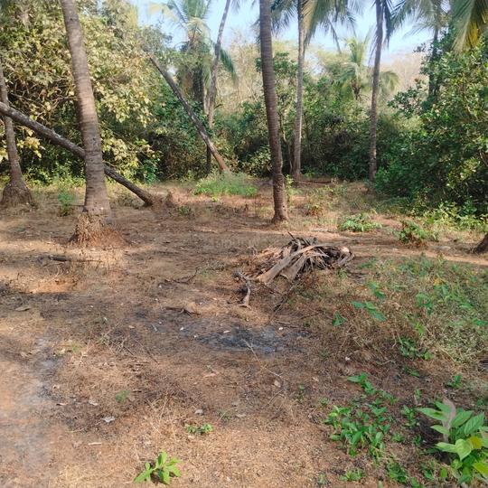 Manora Raia South Goa Main Image 1