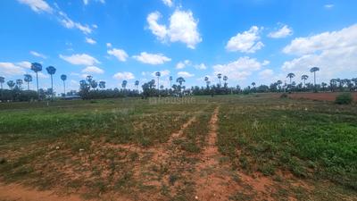 Puduchatram Plot View 1