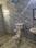 Bathroom Image of Flatmate  in Sector 10, Gurgaon