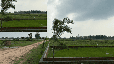 Image of 2000 Sq.ft Residential Plot / Land for sale in Gosainganj, Lucknow for Rs. 3000000