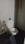 Riddhi Siddhi hight Bathroom Two 1