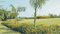 DLF Garden City Main Image 1