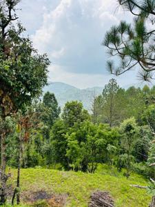 Image of 1320 Sq.ft Residential Plot / Land for sale in Mukteshwar, Nainital for Rs. 14900000