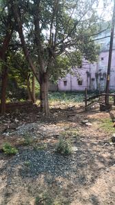 Image of 3484 Sq.ft Residential Plot / Land for sale in Similipada, Angul for Rs. 9800000