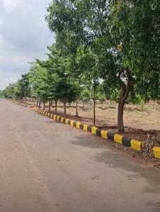 Image of 3303 Sq.ft Residential Plot / Land for sale in Woxen County Phase I, Vikarabad Town, Vikarabad for Rs. 5500000
