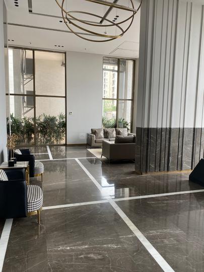 Pyramid Elite Main Image 1