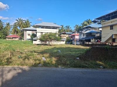 Image of 6163 Sq.ft Residential Plot / Land for sale in Kanjikode, Palakkad for Rs. 14150000