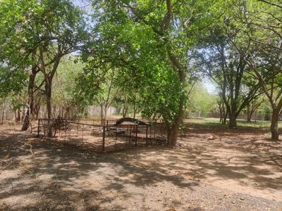 Image of 5031 Sq.ft Residential Plot / Land for sale in Synthesis Suramya Seven, Nandoli, Gandhinagar for Rs. 31000000