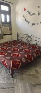 Bedroom Image of 1200 Sq.ft 1 BHK Builder Floor for rent in Green Avenue Amritsar for Rs. 17000