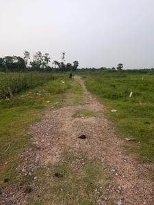 Nest Valley Internal Roads 2