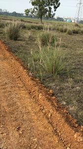 Image of 1391 Sq.ft Residential Plot / Land for sale in Patrapada, Bhubaneswar for Rs. 2635632