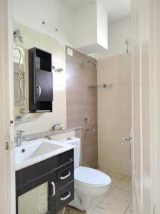 Common Bathroom Image of 1193 Sq.ft 2.5 BHK Apartment / Flat for rent in Stellar Jeevan, Noida Extension Greater Noida for Rs. 18800