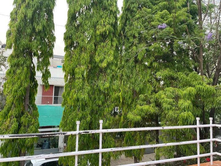 Rohan Leher 2 Main Image 1