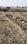 Nivaan home pvt ltd Plot View 2