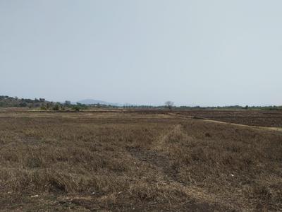 Image of 1089 Sq.ft Residential Plot / Land for sale in Hamarapur, Raigad for Rs. 255000