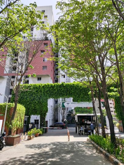 Osian Chlorophyll Apartment Building View 1