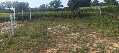 Image of 126 Sq.ft Residential Plot / Land for sale in Chilkur, Hyderabad for Rs. 3654000