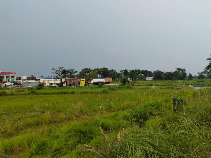 Spring Fields Main Image 1