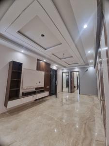 Hall Image of 1125 Sq.ft 3 BHK Builder Floor for sale in Naraina New Delhi for Rs. 26500000